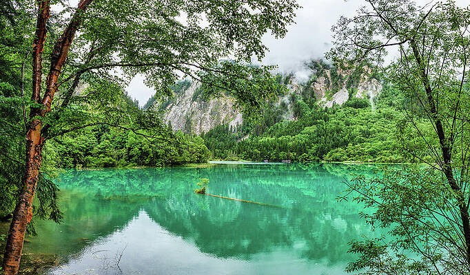 Tranquil Reflection of Trees and Mountains in Jiuzhaigou Lake by Benoit Bruchez