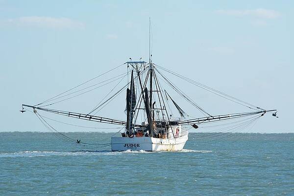 Trawler Judge at Sea by Bradford Martin Trawler Judge at Sea by Bradford Martin