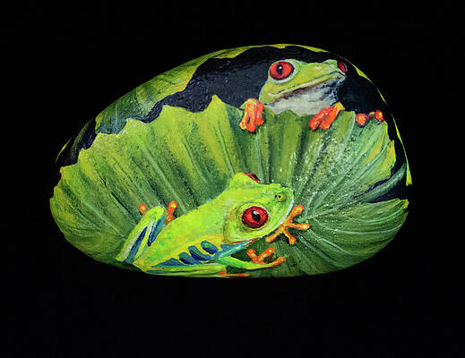 Frog Rock Paintings Page 2 Of 2 Fine Art America