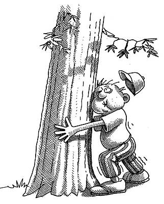 Wall Art - Drawing - Tree Hugger by Dan Nelson