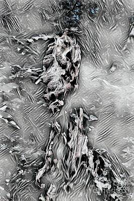 Tree Stump Abstract Black and White by Karen Silvestri Tree Stump Abstract Black and White by Karen Silvestri