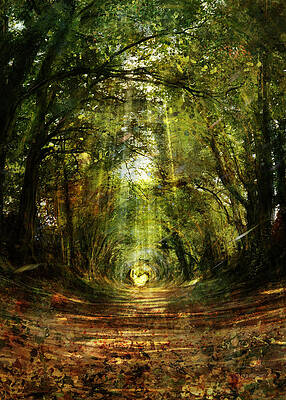 Tree Tunnel vertical by Andrea Gatti Tree Tunnel vertical by Andrea Gatti