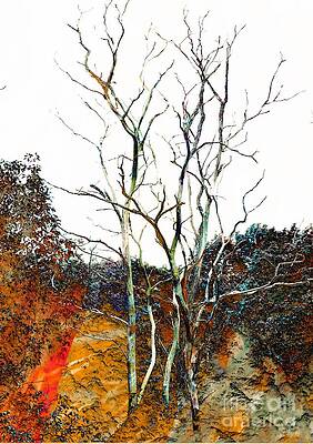 Trees #1 by Marcia Lee Jones Trees #1 by Marcia Lee Jones
