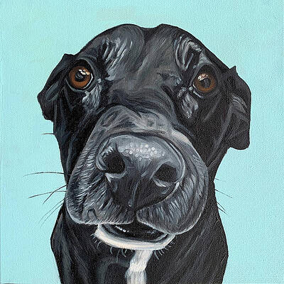 Trixie by Nathan Rhoads Trixie by Nathan Rhoads