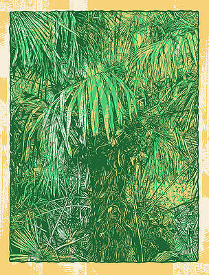 Coconut Tree Drawings Fine Art America