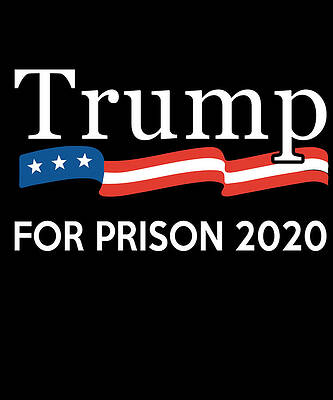 Wall Art - Digital Art - Trump for Prison 2020 by Flippin Sweet Gear