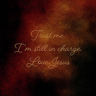 Wall Art - Photograph - Trust Me by Denise Harty