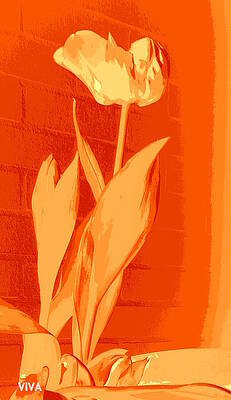 Tulipe en Orange by VIVA Anderson Tulipe en Orange by VIVA Anderson