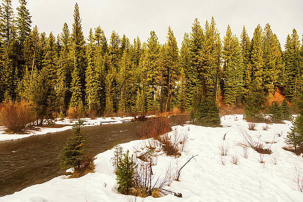 Tumalo Creek, Central Oregon by Aashish Vaidya Tumalo Creek, Central Oregon by Aashish Vaidya