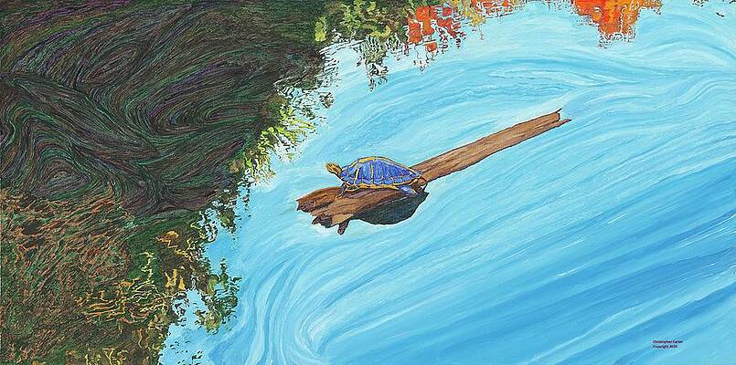 Turtle on a Stick by Christopher Carter