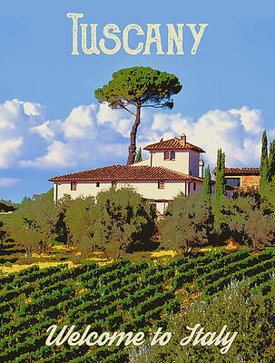Tuscany Vineyard by Long Shot Tuscany Vineyard by Long Shot