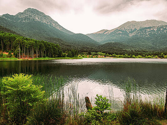 Twin Peaks by Dimitrios P Twin Peaks by Dimitrios P