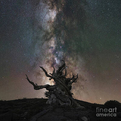 Twisted by Michael Ver Sprill Twisted by Michael Ver Sprill