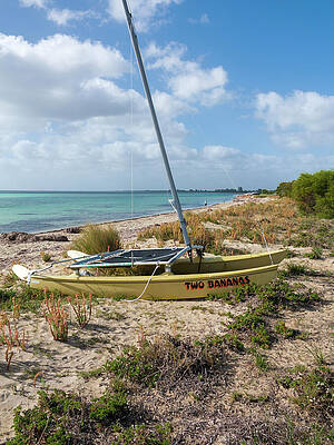 Wall Art - Photograph - Two Bananas, Dunsborough, Western Australia 2 by Elaine Teague
