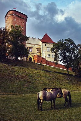 Wall Art - Photograph - Two identical horse standing on a grass filed before famous wawel castle by Arpan Bhatia