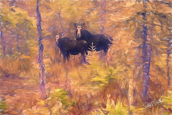 Two moose standing in a New Hampshire bog. by Rusty R Smith Two moose standing in a New Hampshire bog. by Rusty R Smith