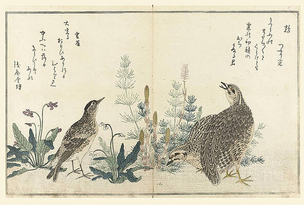Two quails and a lark Print by Kitagawa Utamaro
