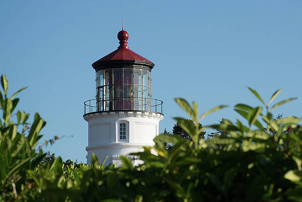 Umpqua River Lighthouse Oregon 02 by Bruce Gourley Umpqua River Lighthouse Oregon 02 by Bruce Gourley