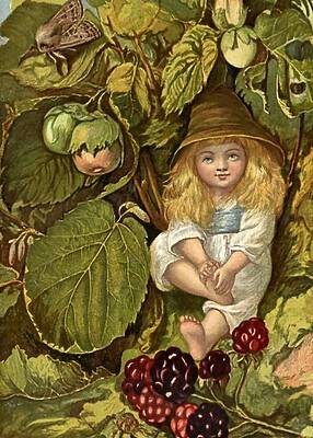 Under the Raspberry Bush Fairy Art by Evelyn Stuart Hardy Under the Raspberry Bush Fairy Art by Evelyn Stuart Hardy