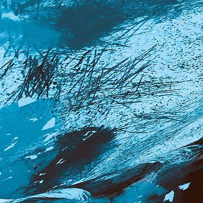 Undersea by Ruth Harrigan Undersea by Ruth Harrigan