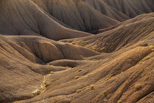 Undulate by Dustin LeFevre Undulate by Dustin LeFevre