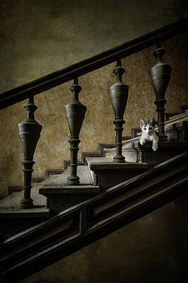 An Unexpected model by Jaroslaw Blaminsky An Unexpected model by Jaroslaw Blaminsky
