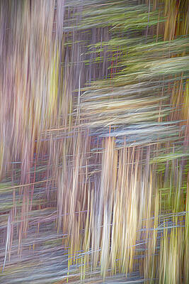 UNRAVELING by Deborah Hughes UNRAVELING by Deborah Hughes
