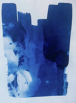 Untitled - Basil 1 by Christopher Morris