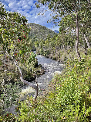 Upper Mersey River - Tasmania - Australia by Tony Crehan Upper Mersey River - Tasmania - Australia by Tony Crehan