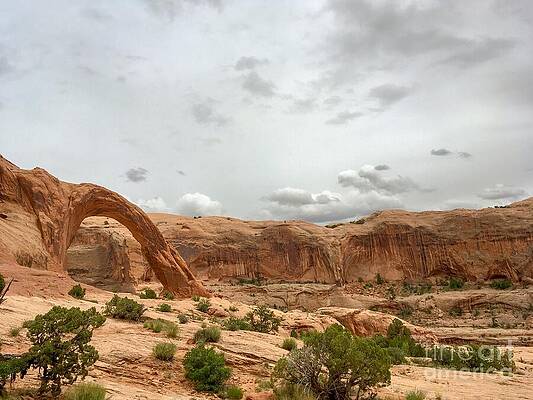 Wall Art - Photograph - Utah Arches by Saving Memories By Making Memories