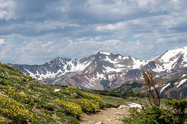 Wall Art - Photograph - Ute Trail 2 by Diane Moller
