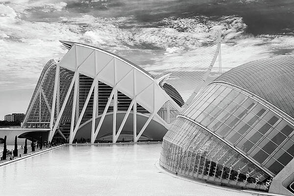 Wall Art - Photograph - Valencia, City of the Arts and the Sciences -9 by Francisco Ruiz Navas