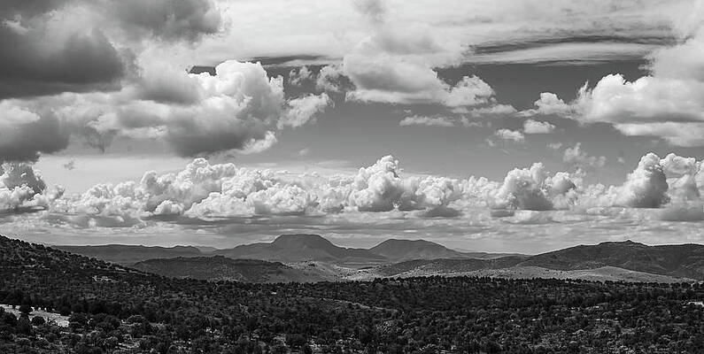 Wall Art - Photograph - Valentine Loop by Peyton Vaughn