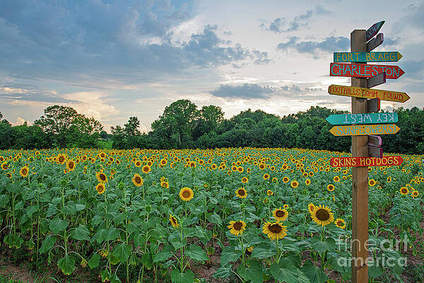 Various Destinations by Dale Powell