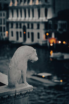 Wall Art - Photograph - Venice Statue View Over Canal by Printed View
