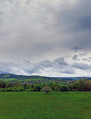 Wall Art - Photograph - Vertical shot of landscape view of Polish mountains with a tree at the center of a huge green meadow during overcast cloud located in the region of Beskid Wyspowy in town of Rabka Zaryte , Poland by Arpan Bhatia