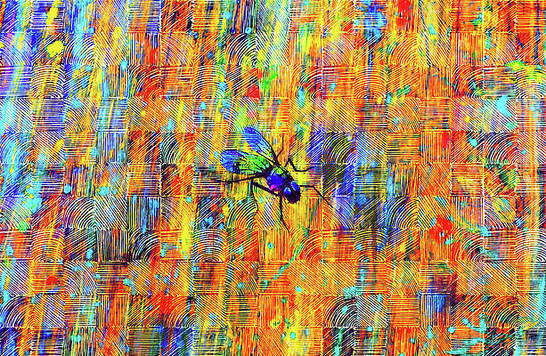 Wall Art - Digital Art - Vibrant abstract fly on a colorful background of stripes and squares - digital art by Nicko Prints