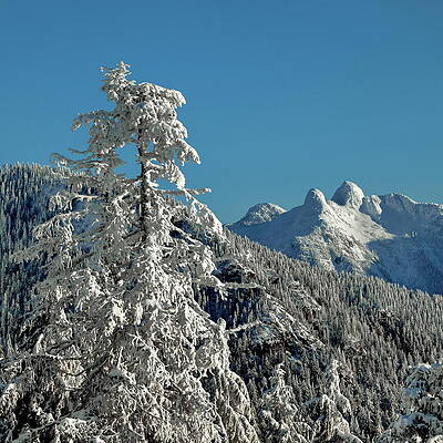 Wall Art - Photograph - View at Lions Peaks by Alex Lyubar