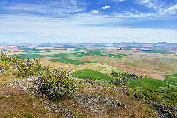 View From Steptoe Butte I by David Patterson View From Steptoe Butte I by David Patterson
