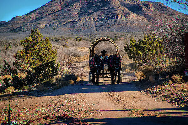 view of the american west with a saddle and a wagon by Francois Lariviere view of the american west with a saddle and a wagon by Francois Lariviere
