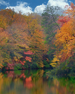 Virginia Fall by Jim Johnson Virginia Fall by Jim Johnson