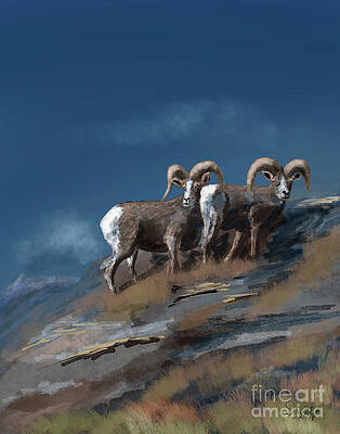 Wall Art - Digital Art - Virginia Range Bighorns by Doug Gist