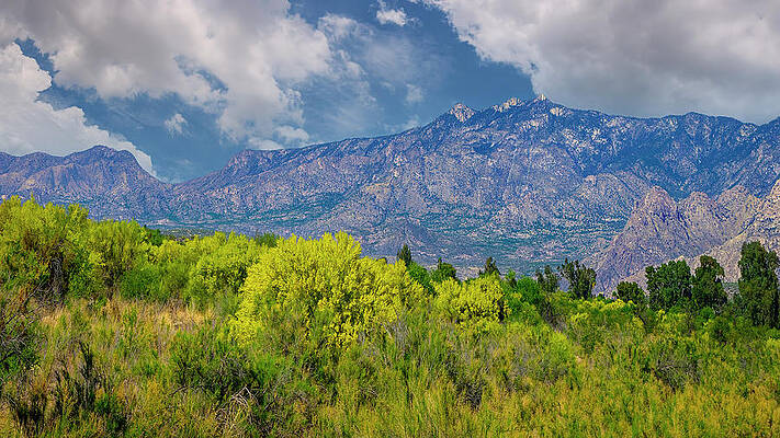 Vista del Valle 24810 by Mark Myhaver Vista del Valle 24810 by Mark Myhaver