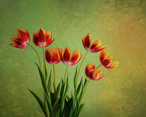 Wall Art featuring the mixed media Vivid Spring by Maryanne Keeling