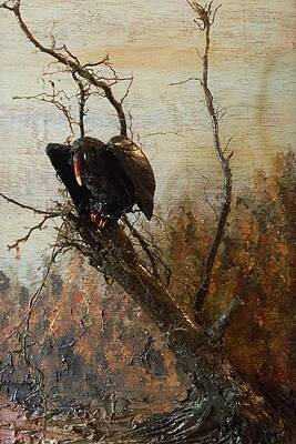Vulture in Autumn by R Allen Swezey Vulture in Autumn by R Allen Swezey