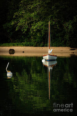 Waiting In The Morning Light by Sharon Mayhak Waiting In The Morning Light by Sharon Mayhak