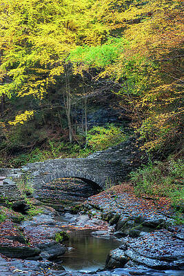 Walking Bridge at Watkins Glen Gorge by Alex Mironyuk Walking Bridge at Watkins Glen Gorge by Alex Mironyuk