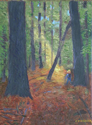 Walking Through Hemlock History by Robert P Hedden Walking Through Hemlock History by Robert P Hedden