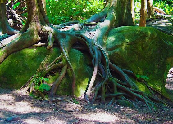 Walking Trees by Yulia Kazansky Walking Trees by Yulia Kazansky