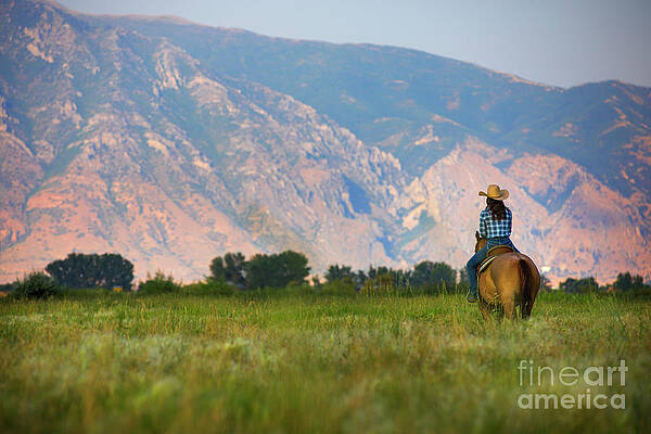 Wasatch Mountain View by Diane Diederich Wasatch Mountain View by Diane Diederich
